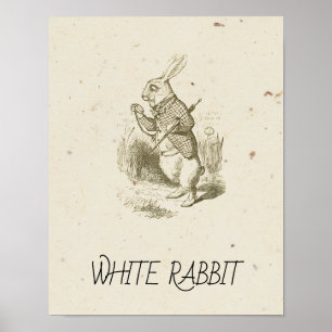 Poster Alice no País das Maravilhas - COELHO BRANCO