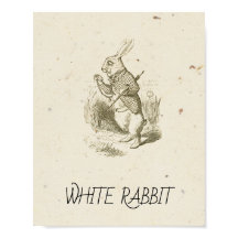 Alice no País das Maravilhas - COELHO BRANCO