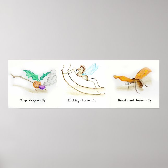 Poster Alice nos Insetos das Maravilhas (Frente)