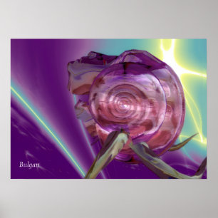 Pôster ALIEN NEREIDE /NINFA DA ÁGUA,CONCHA DE MAR ROSA Fi