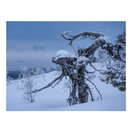 Pôster Alienígena de madeira inverno