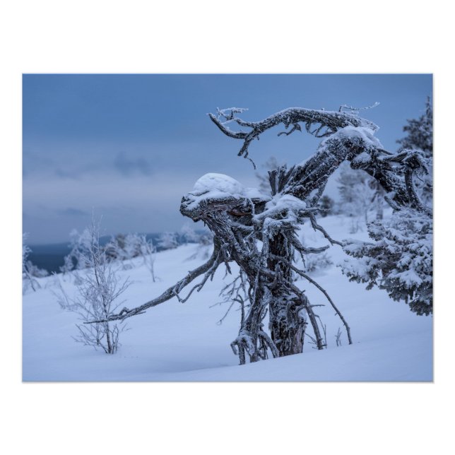 Pôster Alienígena de madeira inverno (Frente)
