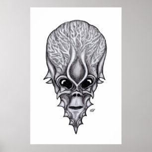 Poster Alienígena, reconstrução facial do crânio africano