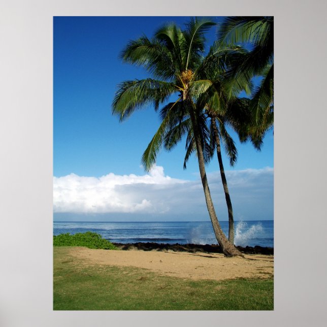 Poster Ali'i Beach 19 (Frente)