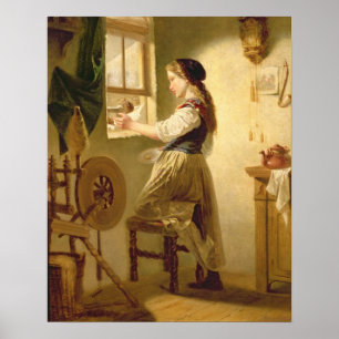 Poster Alimentação das aves no inverno