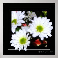 Alimentação do ventilador