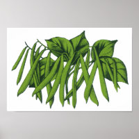 Alimentos Antigos, Legumes Feijão Verde Orgânico