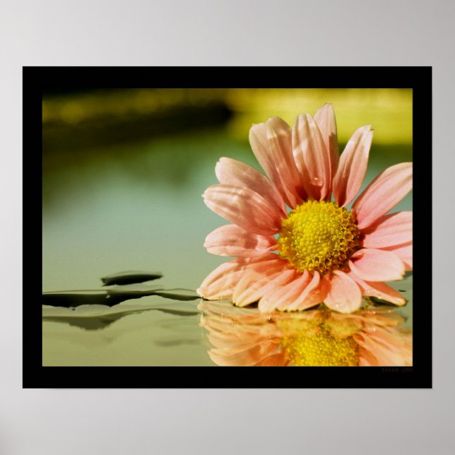 Pôster alisia (Frente)