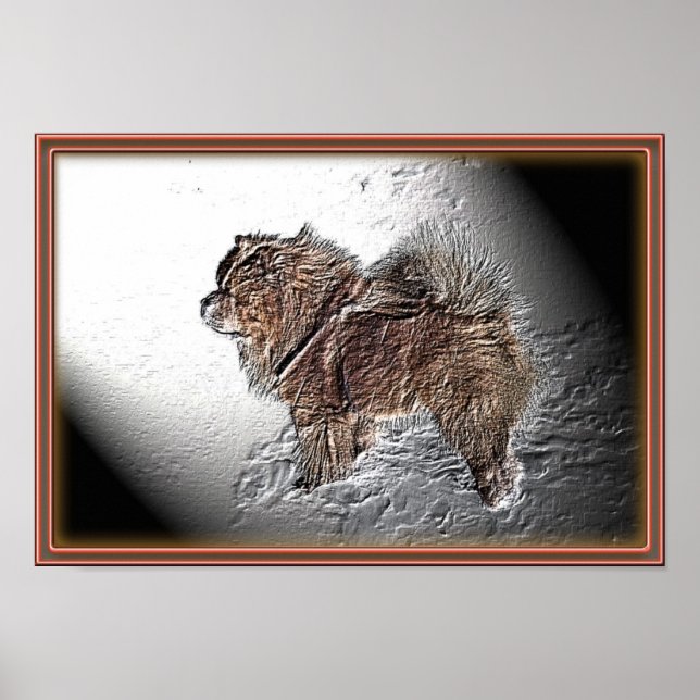 Pôster Alivio Ama (Frente)