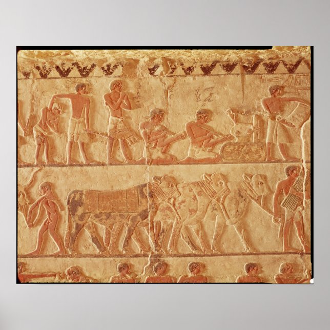 Poster Alivio pintado (Frente)