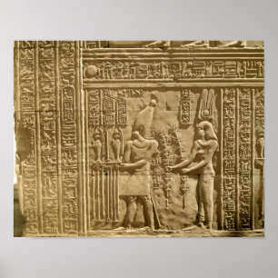 Pôster Alivio que descreve Ptolemy VIII Euergetes II