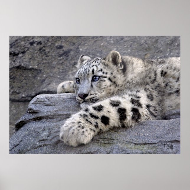 Pôster All Played Out Print (Frente)