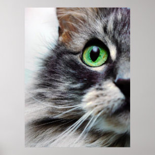 Pôster Allie (meia cara)