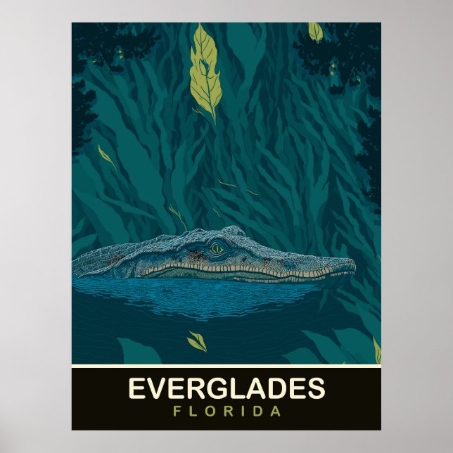 Poster Alligador em Everglades, Flórida, Viagem (Frente)