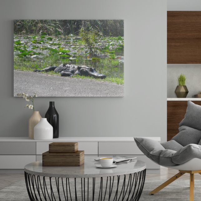 Poster Alligator on Alligator Alley, Fl (Criador carregado)