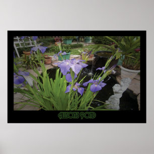 Poster "Allison's Pond" - Print