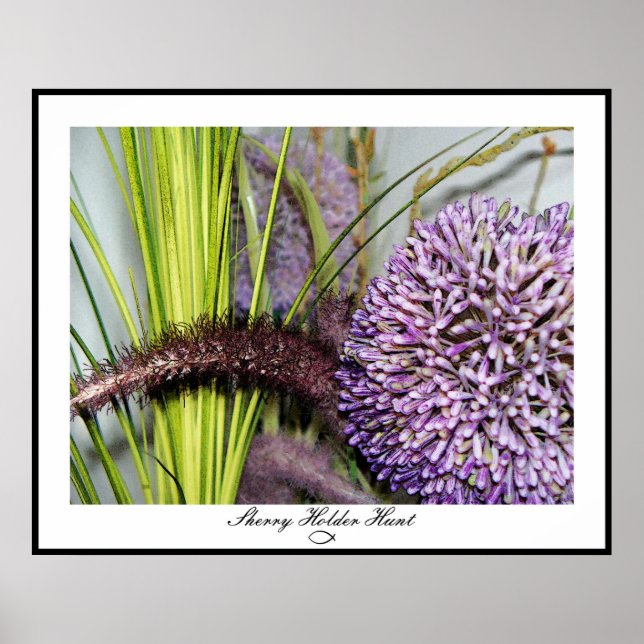 Pôster Allium Watercolor - Tamanho Colossal (Frente)