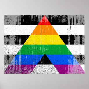 Poster ALLY FLAG DISTRESSED -.png