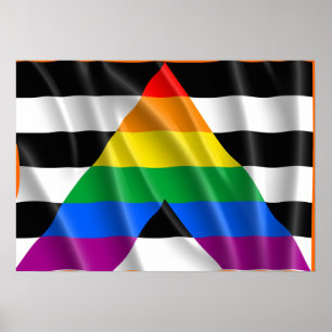Poster ALLY FLAG FLYING -.png