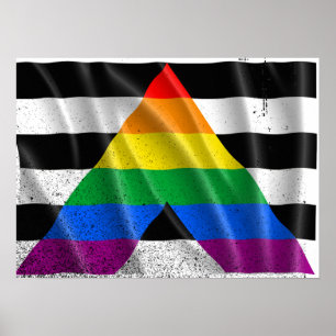 Pôster ALLY FLAG FLYING -.png