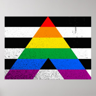 Pôster ALLY FLAG ORIGINAL -.png