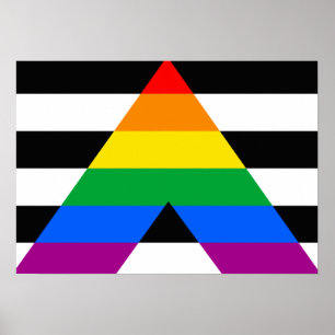 Pôster ALLY FLAG ORIGINAL -.png