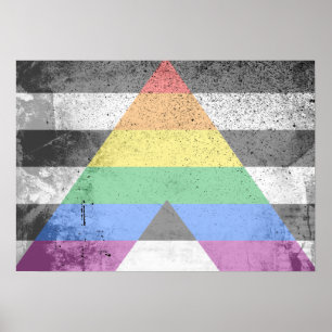 Pôster ALLY FLAG ORIGINAL -.png