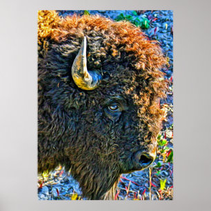 Poster Alma do búfalo