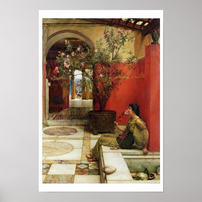 Pôster Alma-Tadema | An Oleander, 1882 (Frente)