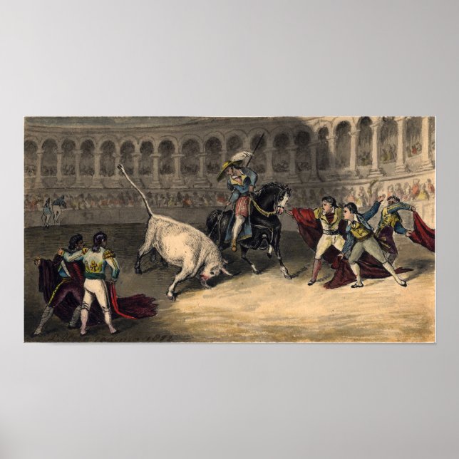 Poster Alma-Tadema - Corrida de Touros Com Touro Branco (Frente)
