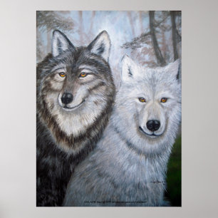 Poster Almas gémeas