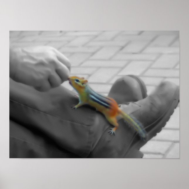 Pôster Almoço do chipset (Frente)