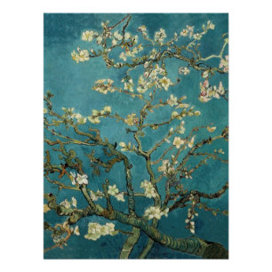 Pôster Almond Blossom
