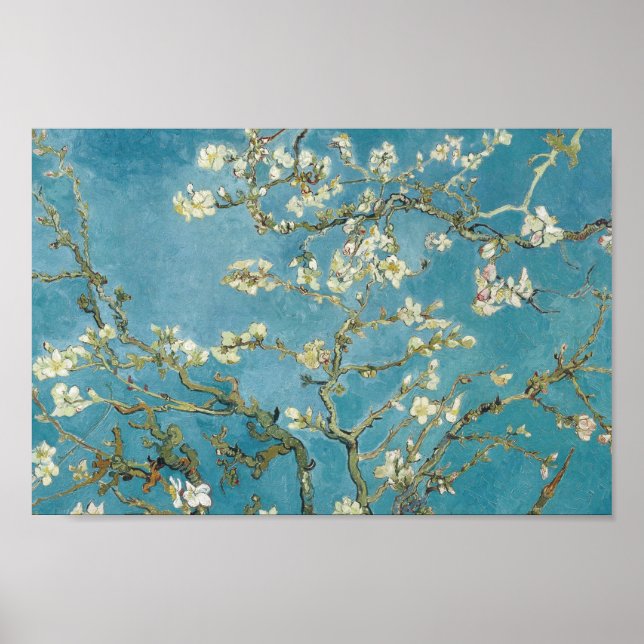 Poster Almond Blossom by Vincent van Gogh (Frente)