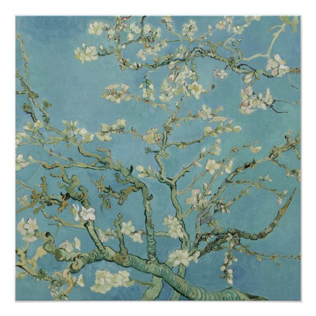 Pôster Almond Blossoms de Vincent Van Gogh Fine Art (Frente)
