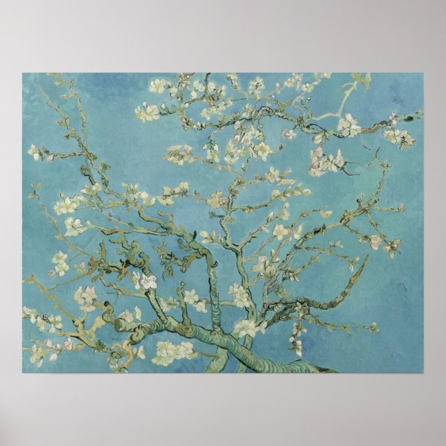 Poster Almond Blossoms de Vincent Van Gogh Fine Art (Frente)