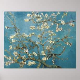 Poster Almond Blossoms por Vincent van Gogh