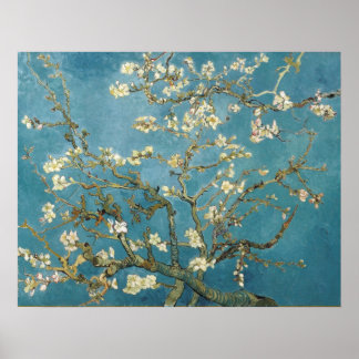 Poster Almond Blossoms por Vincent van Gogh