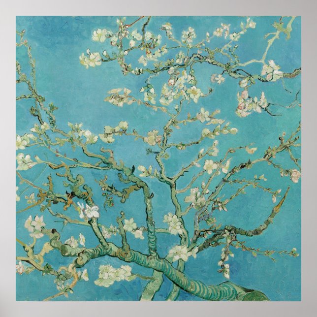 Pôster Almond Blossoms por Vincent van Gogh (Frente)