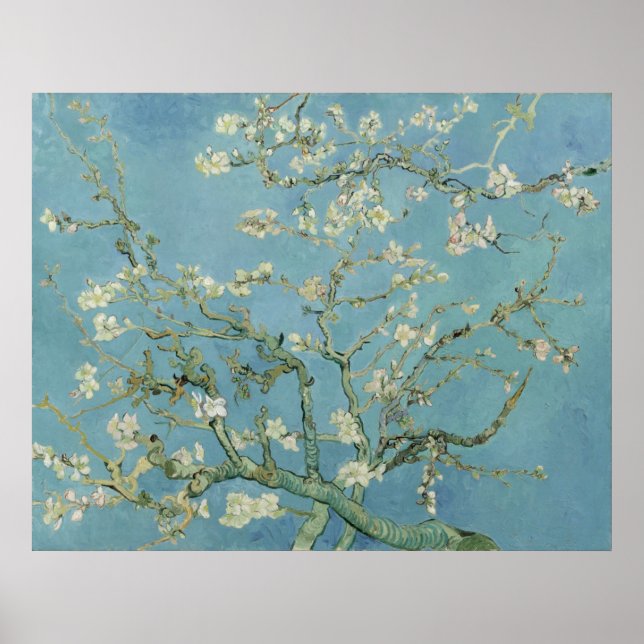 Poster Almond Blossoms por Vincent Van Gogh (Frente)