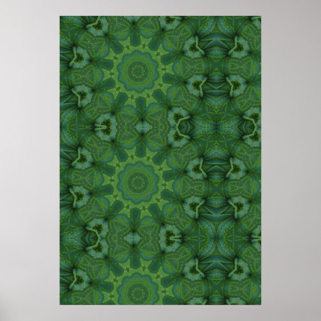 Poster Aloe Ali (Frente)