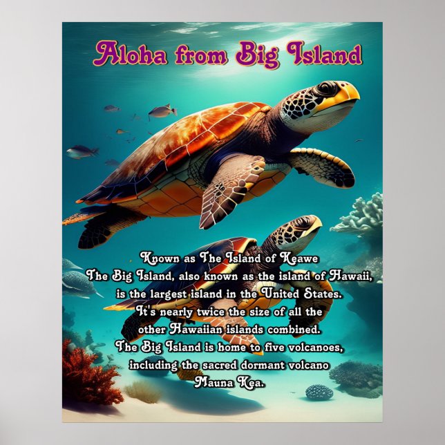 Poster Aloha Big Island Hawaii (Frente)