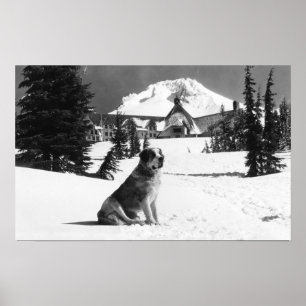 Poster Alojamento e "senhora" do Timberline o