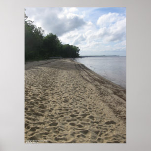 poster "Along the Beach"