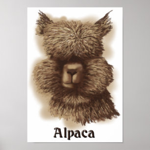Poster Alpaca