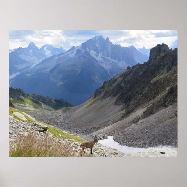Poster Alpes Franceses Chamonix Ibex (Frente)