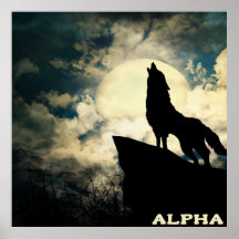 Alpha Wolf Howling Na Lua Completa