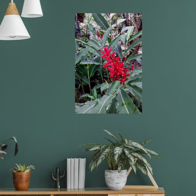 Poster Alpínia purpurata 1 (Sala de Estar 1)