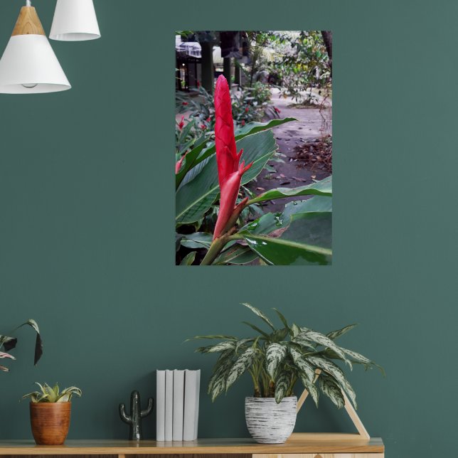 Poster Alpínia purpurata 2 (Sala de Estar 1)