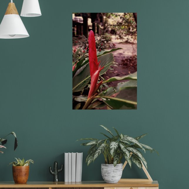 Poster Alpínia purpurata 3 (Sala de Estar 1)